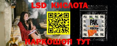 ПСИЛОЦИБИНОВЫЕ ГРИБЫ Гатчина