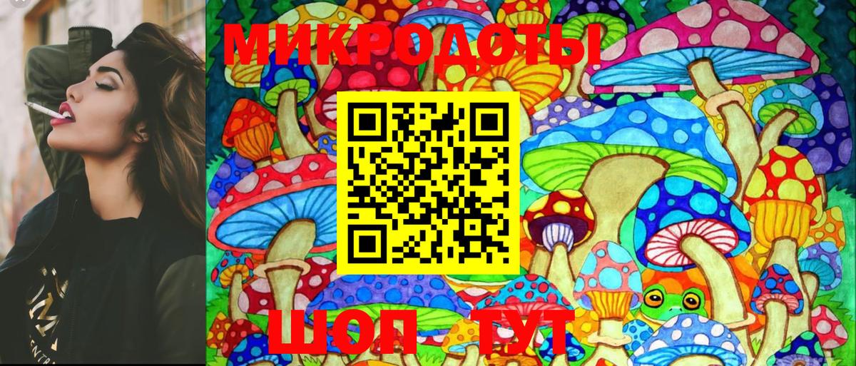 Псилоцибиновые грибы Psilocybine cubensis Десногорск