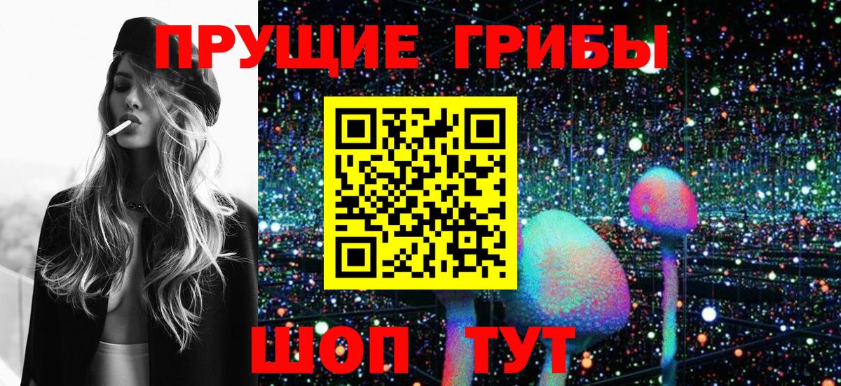 Десногорск  Псилоцибиновые грибы GOLDEN TEACHER  Вход с VPN  как найти закладки  Псилоцибиновые грибы ЛСД 